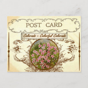 Cartão postal de Flor do Estado Vintage Colorado