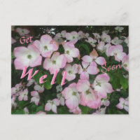 Cartão postal de Flores Cor-de-Rosa para Melhoras