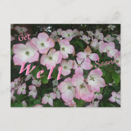 Cartão postal de Flores Cor-de-Rosa para Melhoras