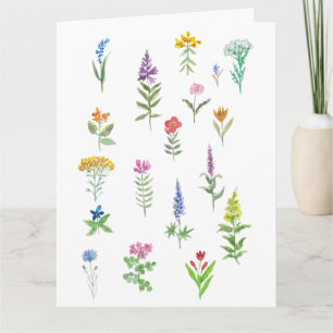 cartão postal de flores de jardim