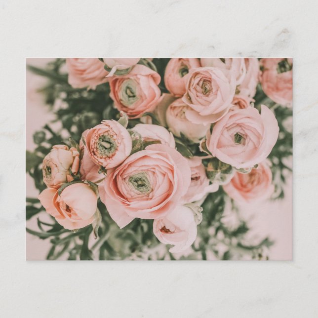 CARTÃO POSTAL DE FLORES DE PEONY (Frente)