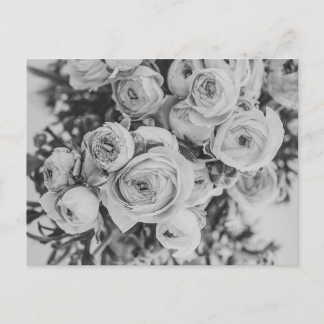 CARTÃO POSTAL DE FLORES DE PEONY (Frente)