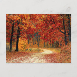 Cartão postal de floresta bonita