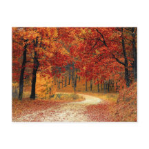 Cartão postal de floresta bonita