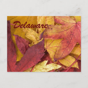 Cartão Postal de Folhas de Outono de Delaware