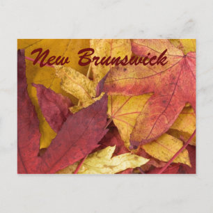 Cartão Postal de Folhas de Outono de New Brunswick