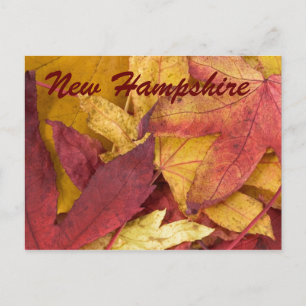 Cartão Postal de Folhas de Outono de New Hampshire