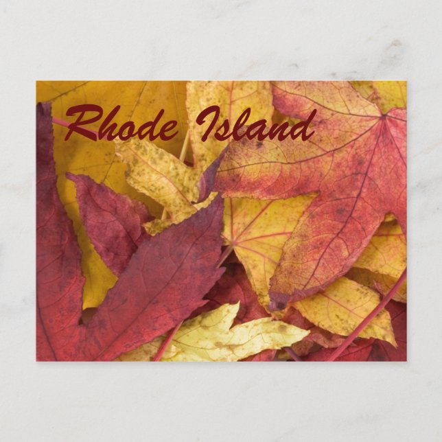 Cartão Postal de Folhas de Outono de Rhode Island (Frente)