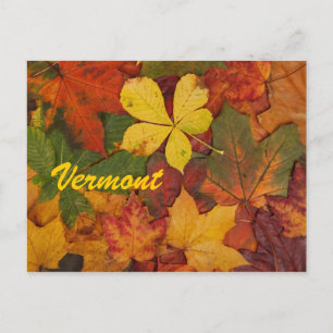 Cartão Postal de Folhas de Outono de Vermont