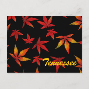 Cartão Postal de Folhas de Outono do Tennessee