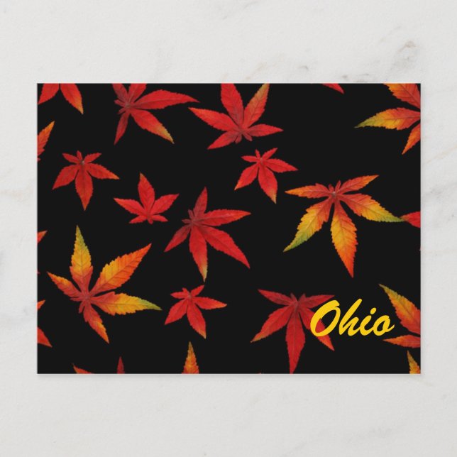 Cartão postal de Folhas do Ohio Autumn (Frente)