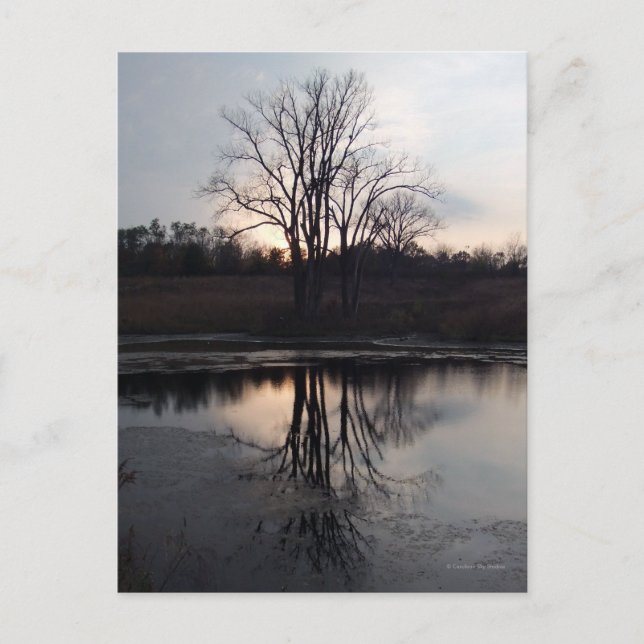 Cartão postal de Foto com Reflexões Sunset (Frente)