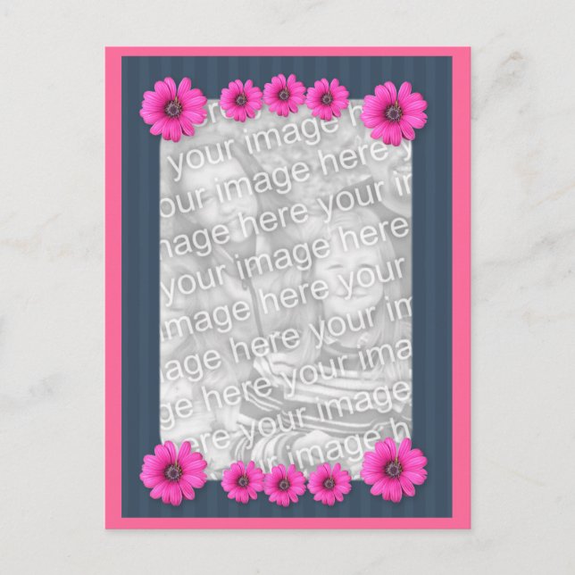 Cartão Postal de Foto de Flores Rosa Margarida (Frente)