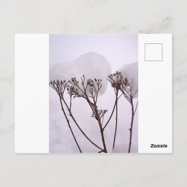 Cartão postal de foto de neve de inverno (Verso)