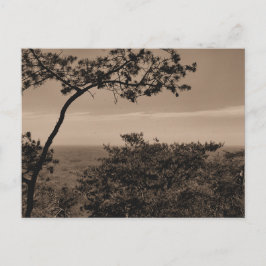 Cartão postal de fotografia paisagística monocromá