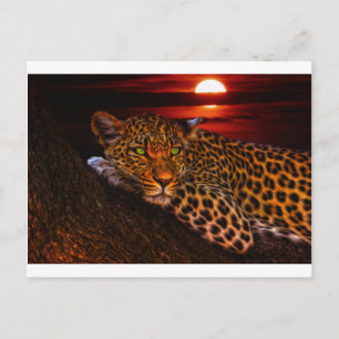 cartão postal de gatinho leopardo