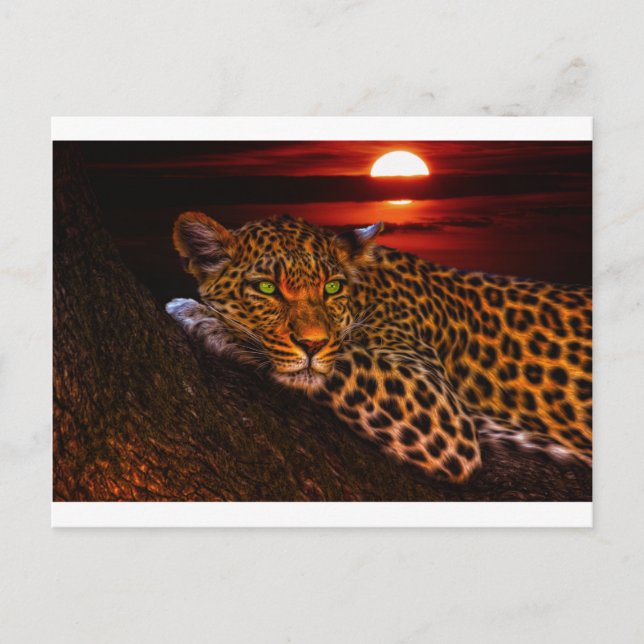 cartão postal de gatinho leopardo (Frente)