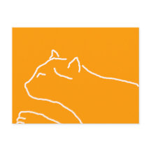 Cartão postal de gato