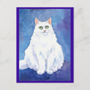 Cartão postal de gato branco ou de gatinho