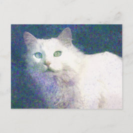 Cartão postal de gato branco texturizado