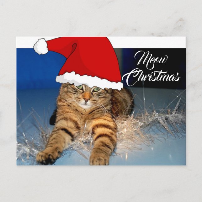 Cartão-postal de gato de Natal bonito com Cartões  (Frente)