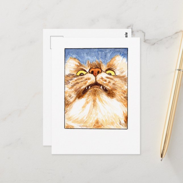 Cartão Postal de Gato - DNM (Frente/Verso In Situ)