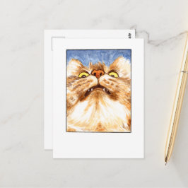 Cartão Postal de Gato - DNM