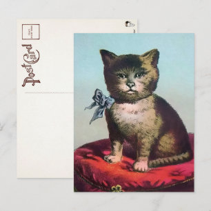 Cartão postal de gato estranho vitoriano