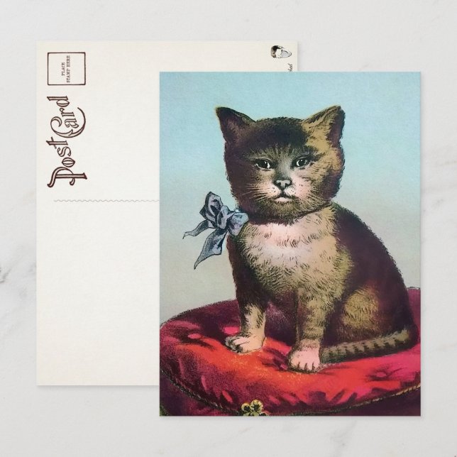 Cartão postal de gato estranho vitoriano (Frente/Verso)