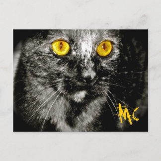 Cartão postal de gato macaco