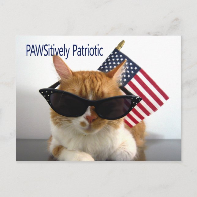 Cartão Postal de Gato Patriótico PAWSitivo (Frente)