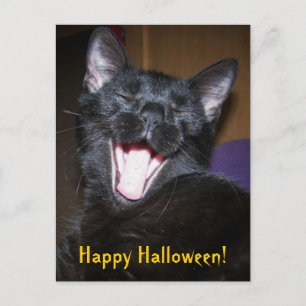 Cartão postal de gato preto bocejando no Halloween