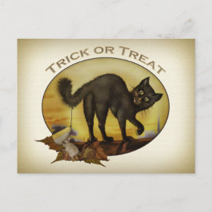 Cartão postal de gato preto Vintage
