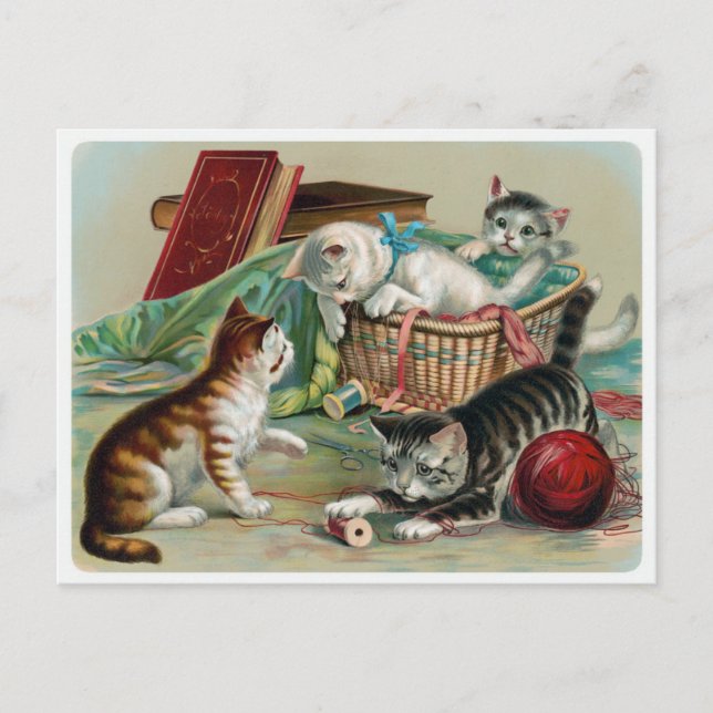Cartão Postal de Gatos Antigos (Frente)