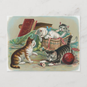 Cartão Postal de Gatos Antigos