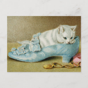 Cartão Postal de Gatos Antigos