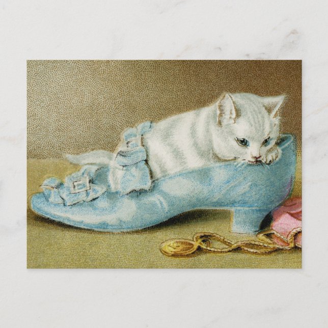 Cartão Postal de Gatos Antigos (Frente)