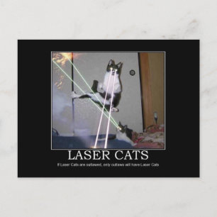Cartão postal de gatos laser
