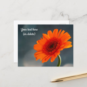 Cartão postal de Gerbera laranja única