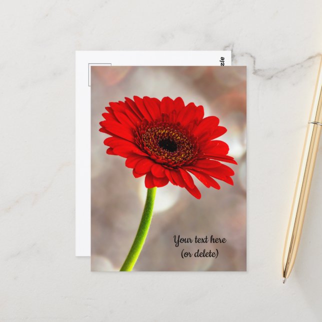 Cartão postal de Gerbera Vermelha Única (Frente/Verso In Situ)