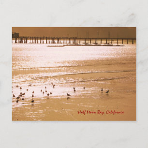 Cartão Postal de Half Moon Bay