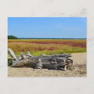Cartão Postal de Hammonasset