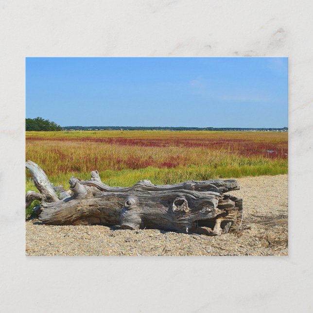 Cartão Postal de Hammonasset (Frente)