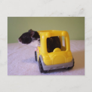 Cartão postal de Hamster