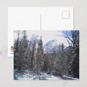 Cartão Postal De Havilland Beaver Floatplane