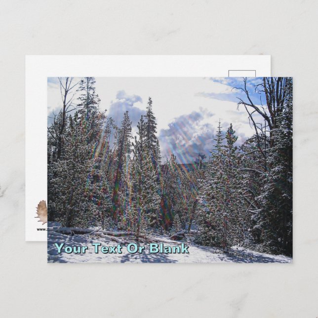 Cartão Postal De Havilland Beaver Floatplane (Frente/Verso)