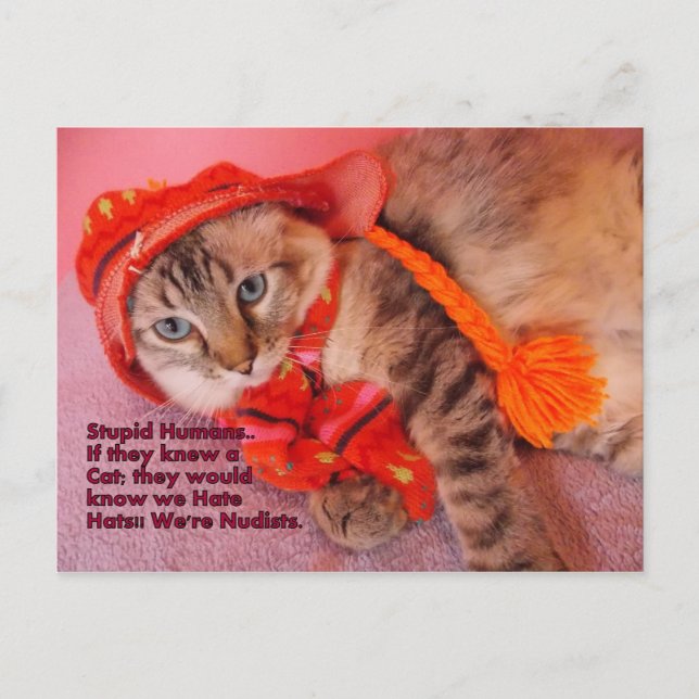 cartão postal de humor humano estúpido (Frente)