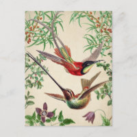 Cartão postal de Ilustração de Aves Vintage