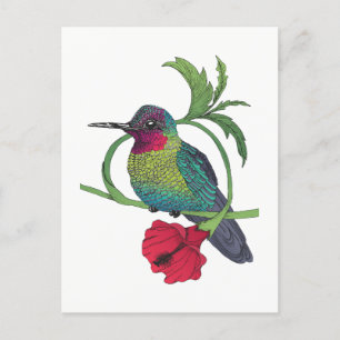 Cartão postal de Ilustração de Pássaro Colibri