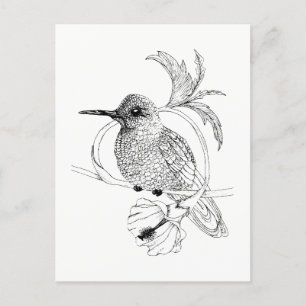 Cartão postal de Ilustração de Pássaro Colibri
